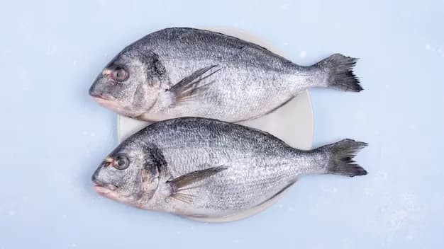 Fresh fish